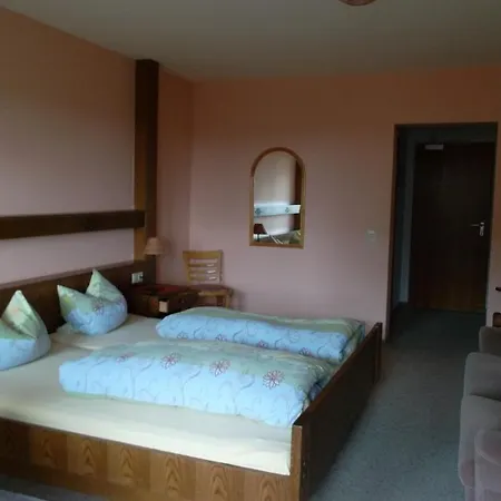 Schwarzwald Gasthof Sternen-post Gasthuis Bräunlingen